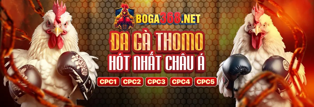 Đá Gà Trực Tuyến Hàng Đầu tại vty57