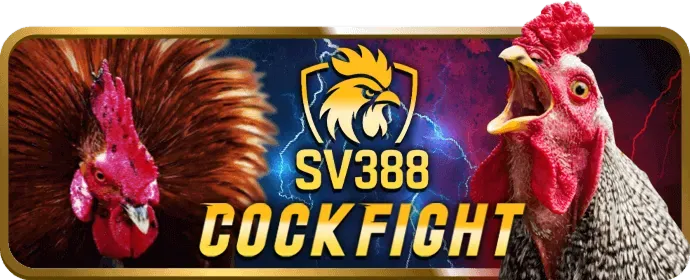 Video slot hiện đại vty57